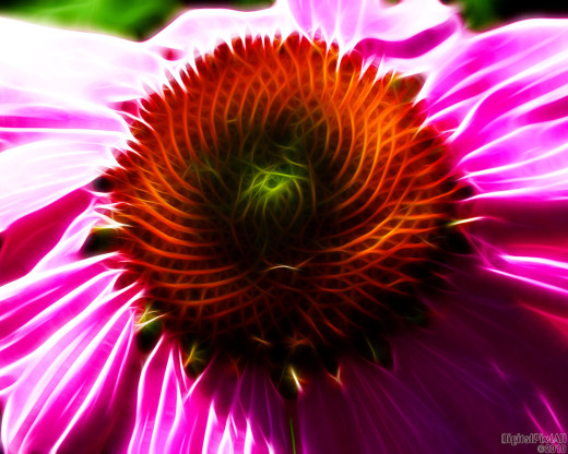 19926 (a): :1280x1024